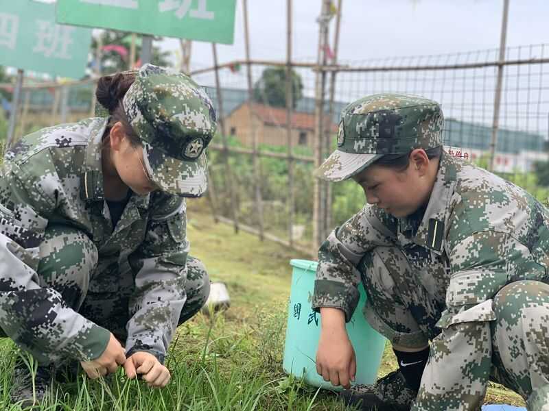 湖北潜江是否有小朋友反叛学校(图2)